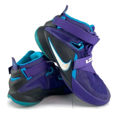 lebron james hornets shoes